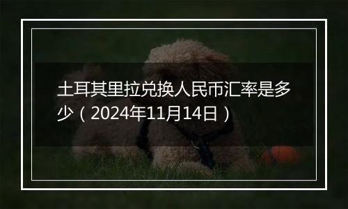 土耳其里拉兑换人民币汇率是多少(2024年11月14日)