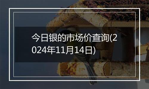 今日银的市场价查询(2024年11月14日)
