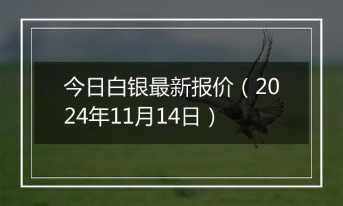 今日白银最新报价(2024年11月14日)