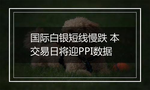 国际白银短线慢跌 本交易日将迎PPI数据