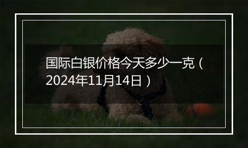 国际白银价格今天多少一克(2024年11月14日)