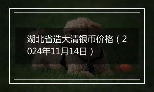 湖北省造大清银币价格(2024年11月14日)