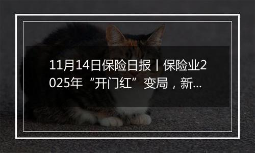 11月14日保险日报丨保险业2025年“开门红”变局,新华保险同日增持并举牌上海医药、国药股份