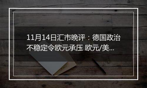 11月14日汇市晚评：德国政治不稳定令欧元承压 欧元/美元跌至一年来最低水平