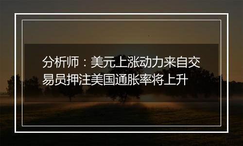 分析师:美元上涨动力来自交易员押注美国通胀率将上升