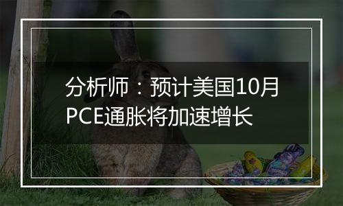 分析师:预计美国10月PCE通胀将加速增长