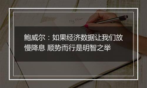 鲍威尔：如果经济数据让我们放慢降息 顺势而行是明智之举