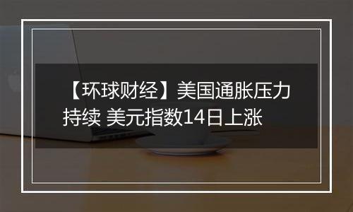 【环球财经】美国通胀压力持续 美元指数14日上涨