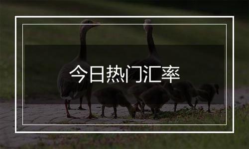 今日热门汇率