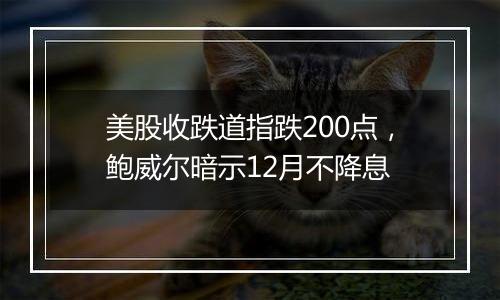 美股收跌道指跌200点,鲍威尔暗示12月不降息