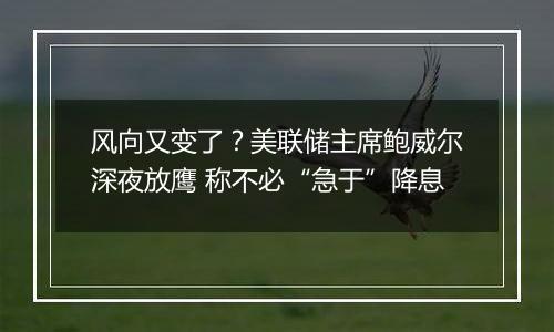 风向又变了?美联储主席鲍威尔深夜放鹰 称不必“急于”降息