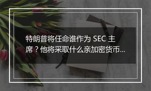 特朗普将任命谁作为 SEC 主席？他将采取什么亲加密货币政策