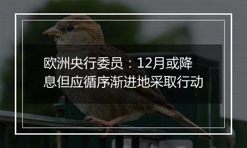 欧洲央行委员:12月或降息但应循序渐进地采取行动