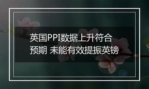 英国PPI数据上升符合预期 未能有效提振英镑