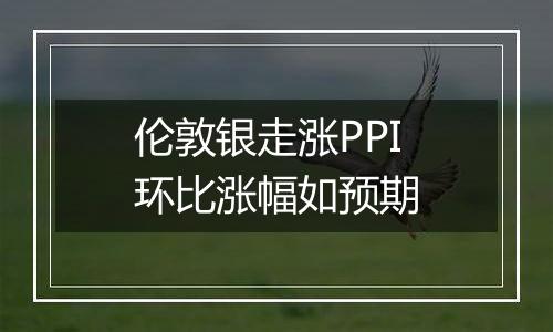 伦敦银走涨PPI环比涨幅如预期