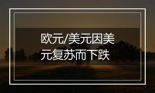 欧元/美元因美元复苏而下跌