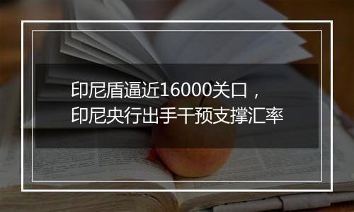 印尼盾逼近16000关口,印尼央行出手干预支撑汇率