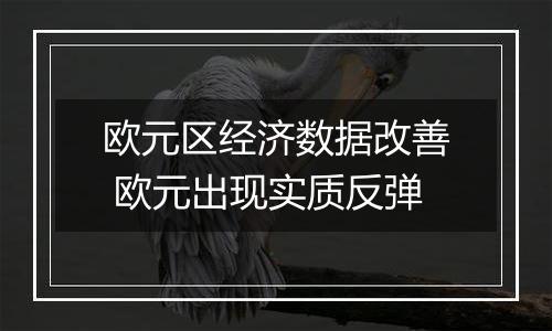 欧元区经济数据改善 欧元出现实质反弹