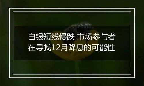 白银短线慢跌 市场参与者在寻找12月降息的可能性