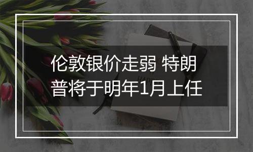 伦敦银价走弱 特朗普将于明年1月上任