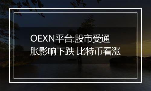 OEXN平台:股市受通胀影响下跌 比特币看涨