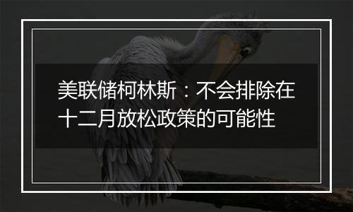 美联储柯林斯:不会排除在十二月放松政策的可能性