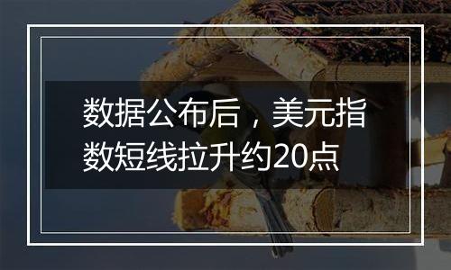 数据公布后，美元指数短线拉升约20点