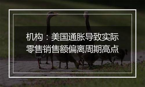 机构:美国通胀导致实际零售销售额偏离周期高点