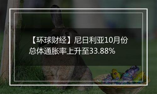 【环球财经】尼日利亚10月份总体通胀率上升至33.88%
