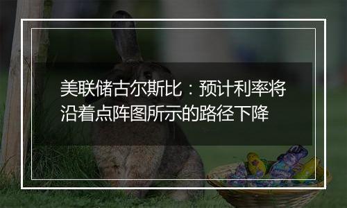 美联储古尔斯比：预计利率将沿着点阵图所示的路径下降