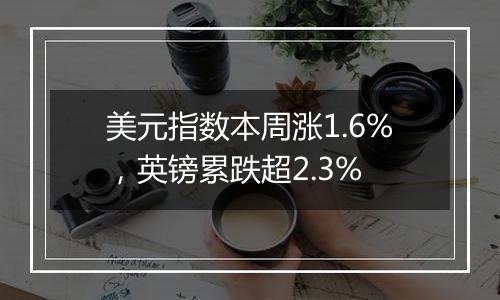 美元指数本周涨1.6%，英镑累跌超2.3%