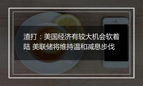 渣打:美国经济有较大机会软着陆 美联储将维持温和减息步伐