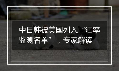 中日韩被美国列入“汇率监测名单”,专家解读