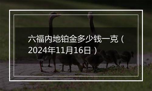 六福内地铂金多少钱一克(2024年11月16日)