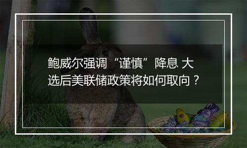 鲍威尔强调“谨慎”降息 大选后美联储政策将如何取向?