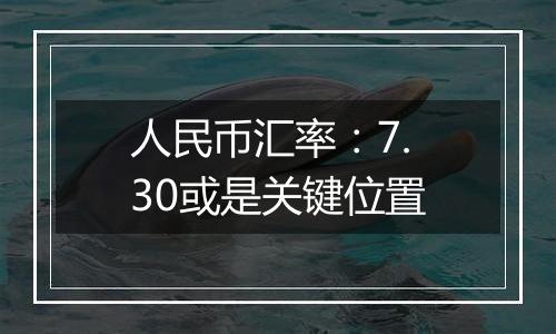 人民币汇率:7.30或是关键位置