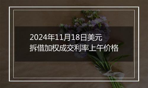 2024年11月18日美元拆借加权成交利率上午价格