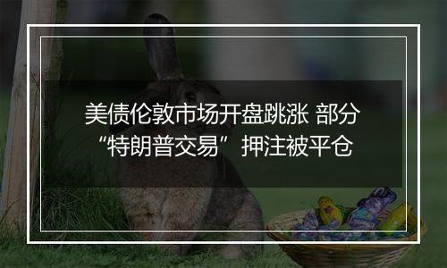 美债伦敦市场开盘跳涨 部分“特朗普交易”押注被平仓