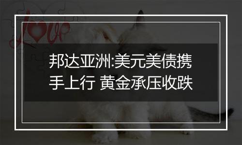 邦达亚洲:美元美债携手上行 黄金承压收跌