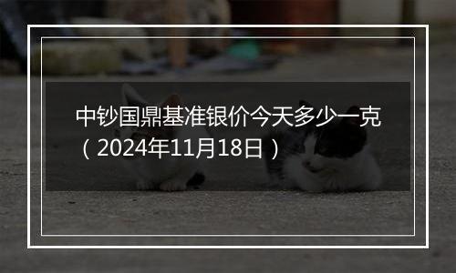 中钞国鼎基准银价今天多少一克(2024年11月18日)