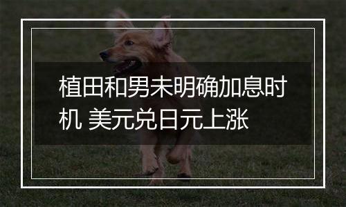 植田和男未明确加息时机 美元兑日元上涨