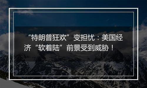 “特朗普狂欢”变担忧:美国经济“软着陆”前景受到威胁!