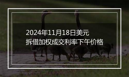 2024年11月18日美元拆借加权成交利率下午价格