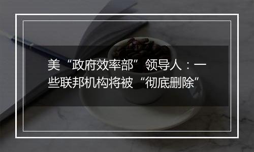 美“政府效率部”领导人:一些联邦机构将被“彻底删除”