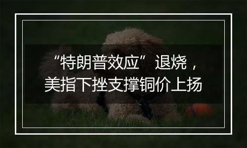 “特朗普效应”退烧,美指下挫支撑铜价上扬