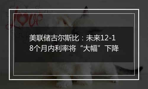 美联储古尔斯比：未来12-18个月内利率将“大幅”下降