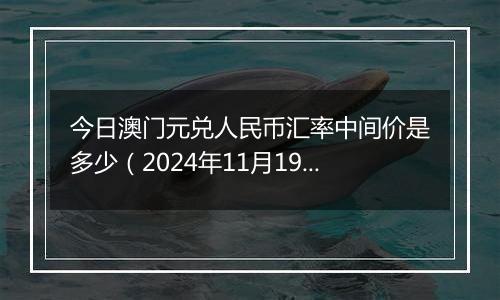 今日澳门元兑人民币汇率中间价是多少(2024年11月19日)