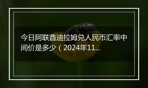 今日阿联酋迪拉姆兑人民币汇率中间价是多少(2024年11月19日)