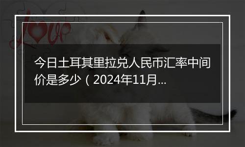 今日土耳其里拉兑人民币汇率中间价是多少(2024年11月19日)