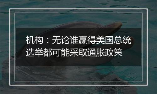 机构:无论谁赢得美国总统选举都可能采取通胀政策